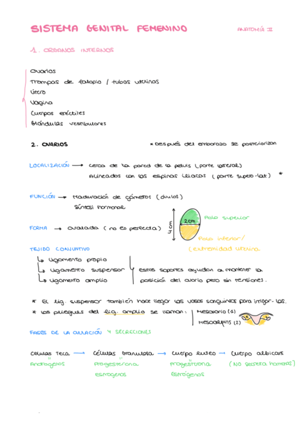 Miniatura del documento SISTEMA-GENITAL-FEMENINO.pdf