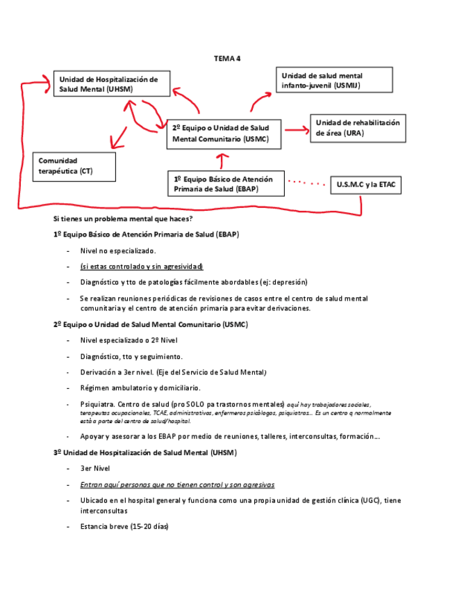 Miniatura del documento TEMA-4-SALUD-MENTAL.pdf
