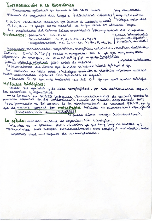Miniatura del documento Esquemas-bioquimica.pdf