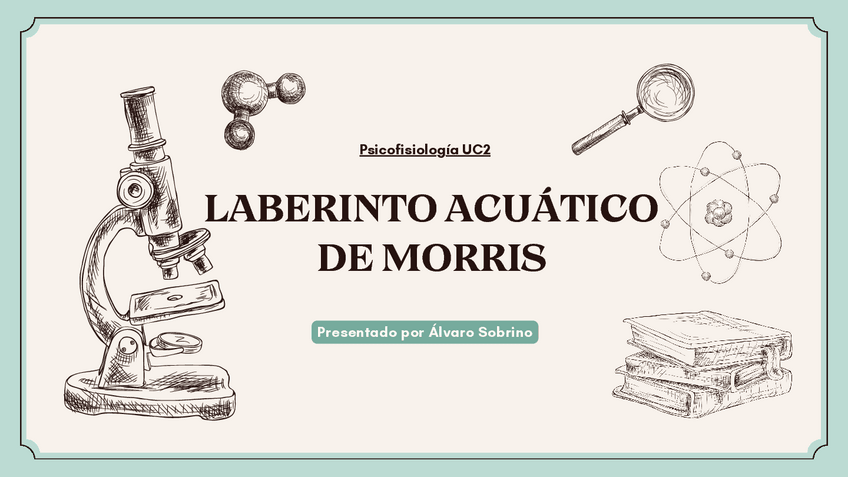 Miniatura del documento UC2-MODELOS-ANIMALES.pdf