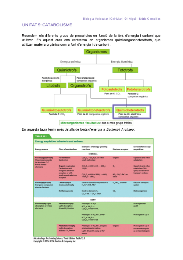 Miniatura del documento BMCM-5-6-2023.pdf