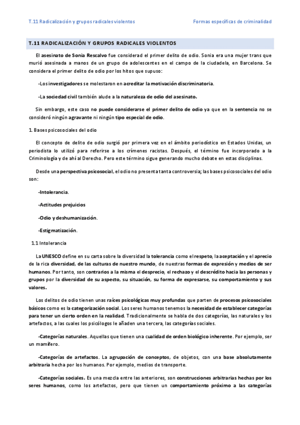 Miniatura del documento T.11-Radicalizacion-y-grupos-radicales-violentos.pdf