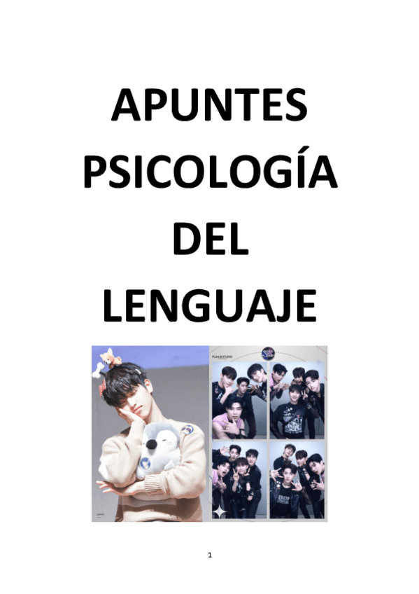 Miniatura del documento APUNTES-PSICOLOGIA-DEL-LENGUAJE.pdf