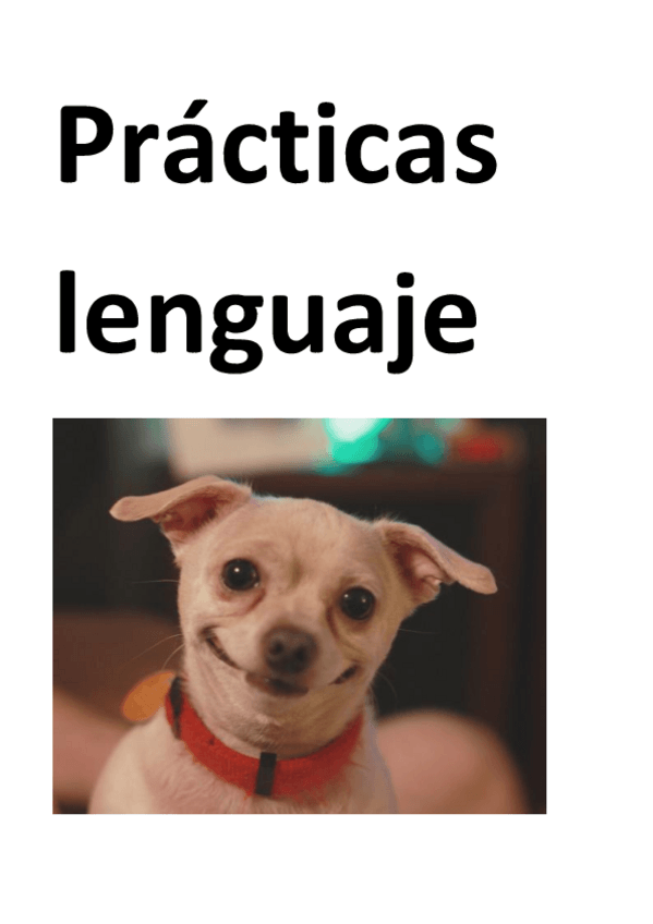 Miniatura del documento PRACTICAS-LENGUAJE.pdf