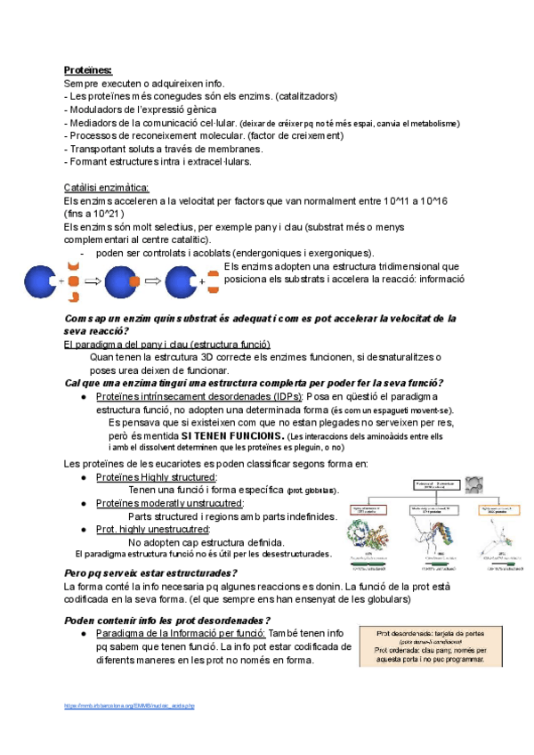 Miniatura del documento Macromoleculescompressed.pdf
