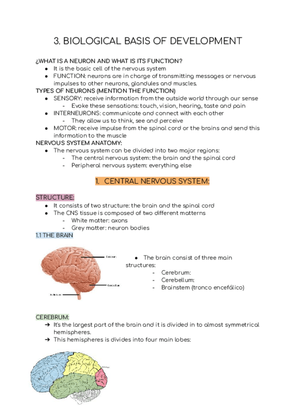Miniatura del documento 3.-BIOLOGICAL-BASIS-OF-DEVELOPMENT.pdf