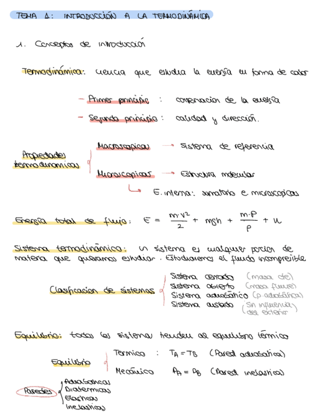 Miniatura del documento RESUMEN-TODA-LA-TEORIA.pdf