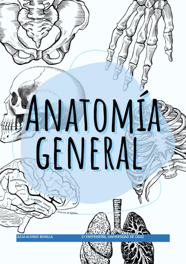 Miniatura del documento Anatomia-temas-completo.pdf