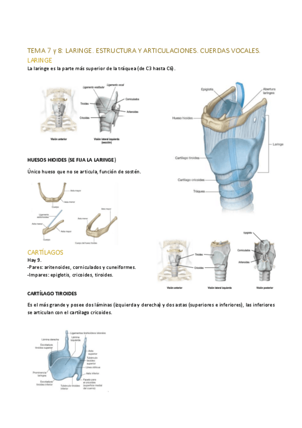 Miniatura del documento TEMAS-7-Y-8.pdf