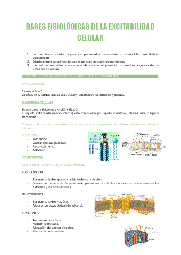 Miniatura del documento TEMA.-2-ISABEL-Y-MENA.pdf
