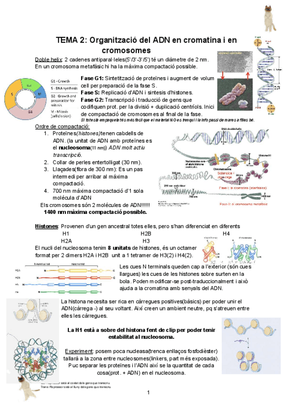 Miniatura del documento Genetica-molecular-complertcompressed.pdf