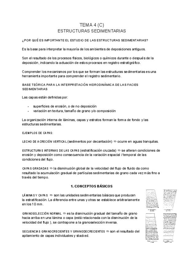 Miniatura del documento SEDIMENTOLOGIA-tema-4-C.pdf