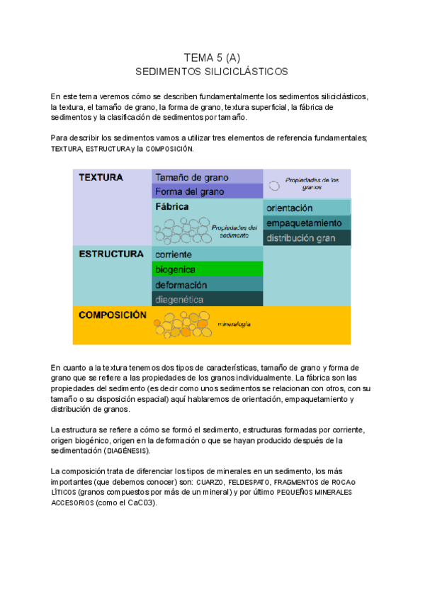 Miniatura del documento SEDIMENTOLOGIA-tema-5-A.pdf
