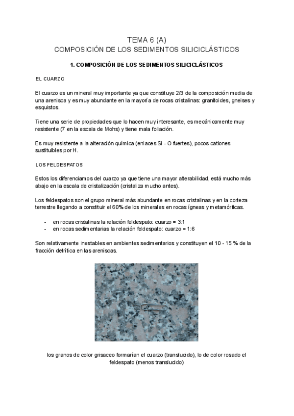 Miniatura del documento SEDIMENTOLOGIA-tema-6-A.pdf