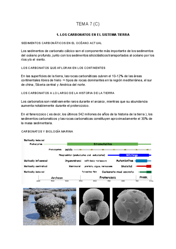 Miniatura del documento SEDIMENTOLOGIA-tema-7-C.pdf