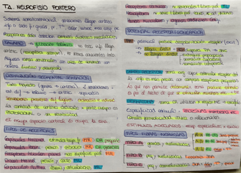 Miniatura del documento T1.-Sistema-Somatosensorial.pdf