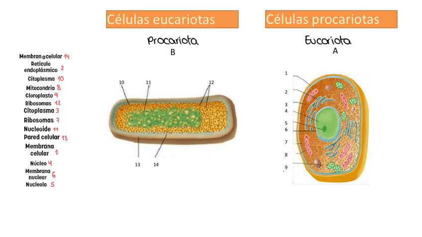 Miniatura del documento IMG0762.png