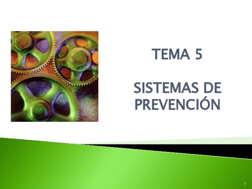 Miniatura del documento Tema-5.-prevencion.pdf
