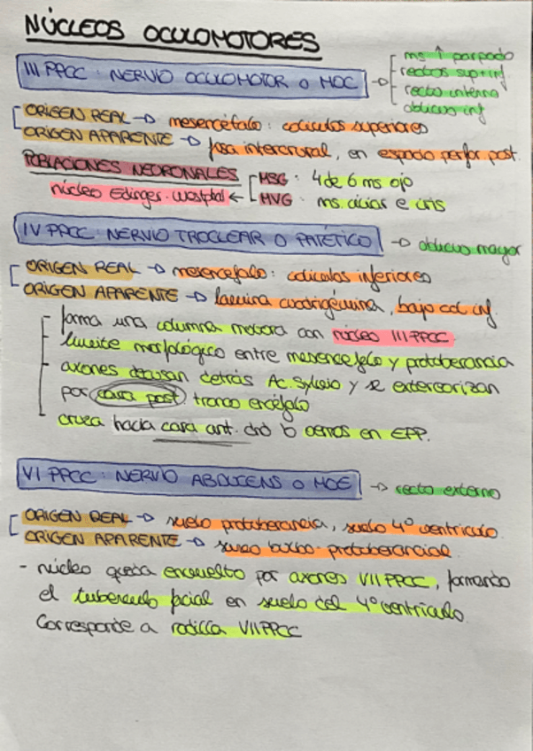 Miniatura del documento 16.-Pares-Craneales.pdf