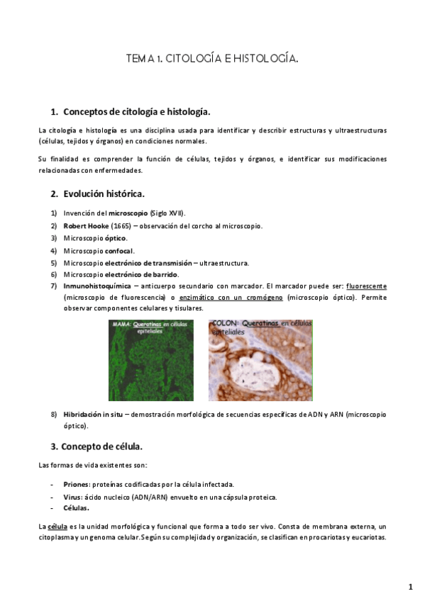 Miniatura del documento APUNTES-CITOLOGIA.pdf