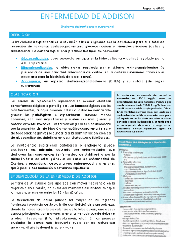 Miniatura del documento Enfermedad-de-Addison-Argente-Semiologia.pdf