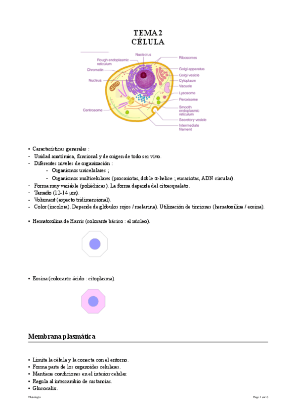 Miniatura del documento Tema-1-la-celula.pdf
