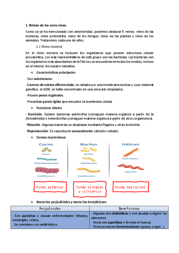 Miniatura del documento APUNTES-TEMA-5.pdf