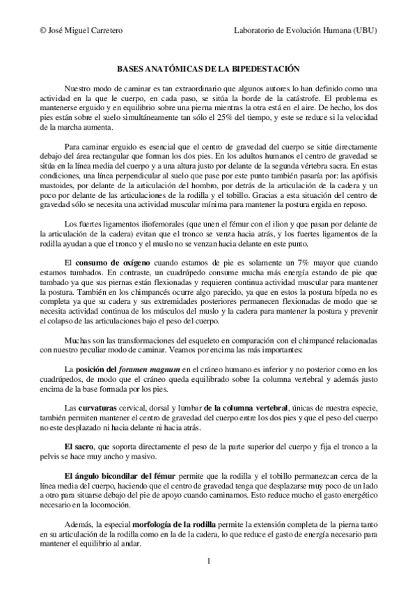Miniatura del documento Basesanatomicasyorigendelabipedestacion.pdf