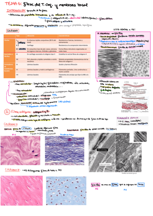 Miniatura del documento tema-5.pdf