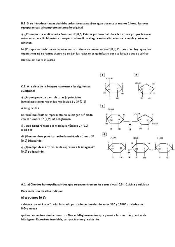 Miniatura del documento Preguntas-selectividad-biologia.pdf