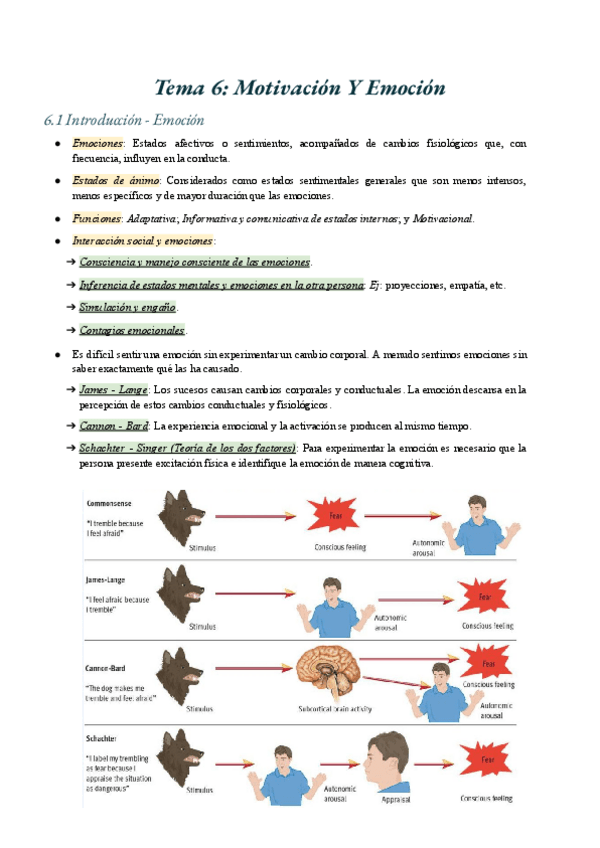 Miniatura del documento Tema-6-Motivacion-Y-Emocion.pdf