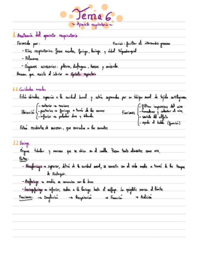 Miniatura del documento Apuntes-Anatomia-T6.pdf
