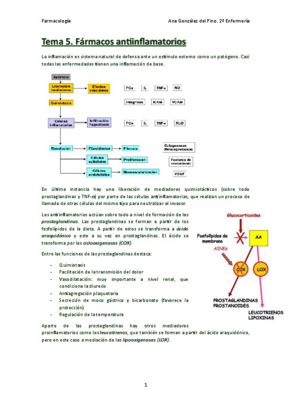 Miniatura del documento Farmacos-antiinflamatorios.pdf