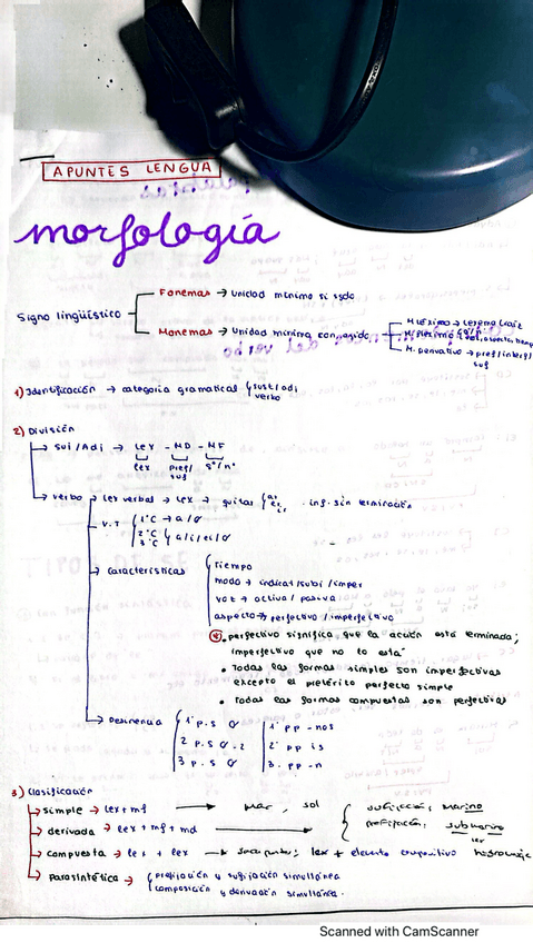 Miniatura del documento MORFOLOGIA-SINTAXIS.pdf
