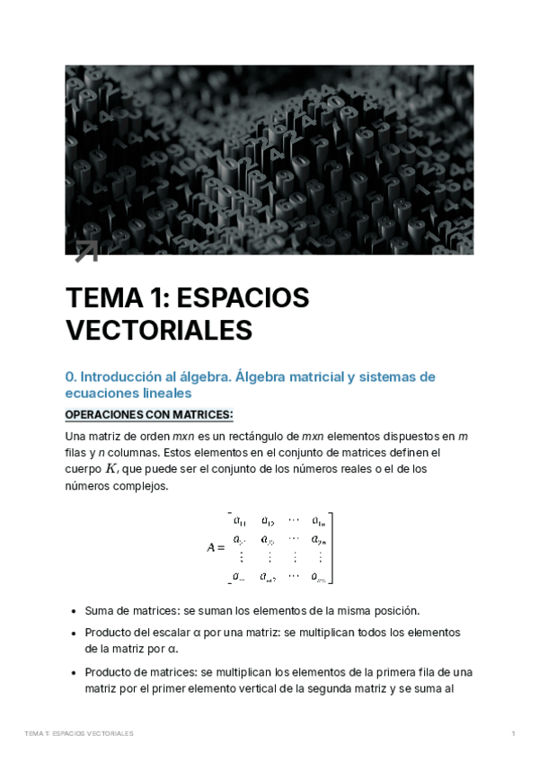 Miniatura del documento TEMA 1 ESPACIOS VECTORIALES.pdf