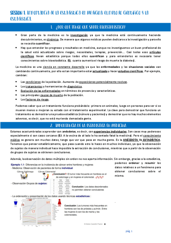 Miniatura del documento SESION-1.pdf