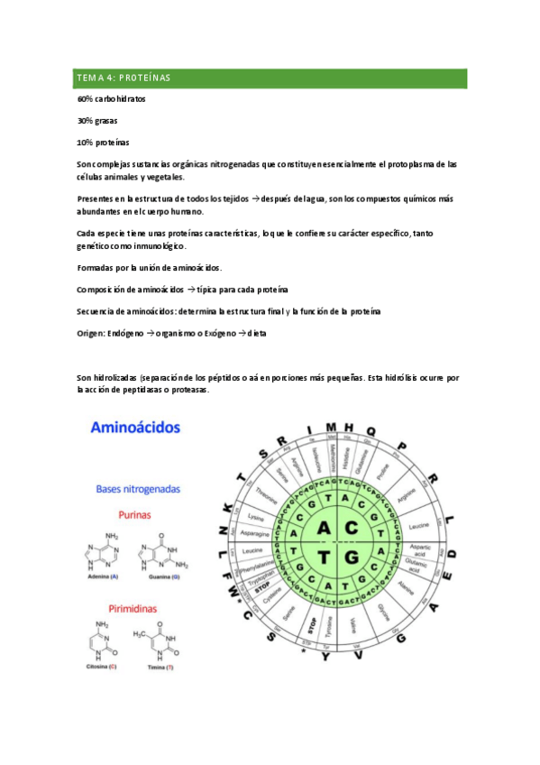 Miniatura del documento tema-4.pdf