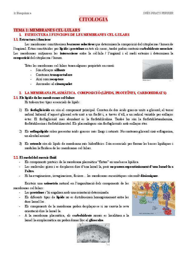 Miniatura del documento Apunts-citologia.pdf