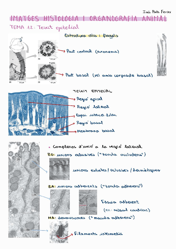 Miniatura del documento Imatges-examen-practiques.pdf