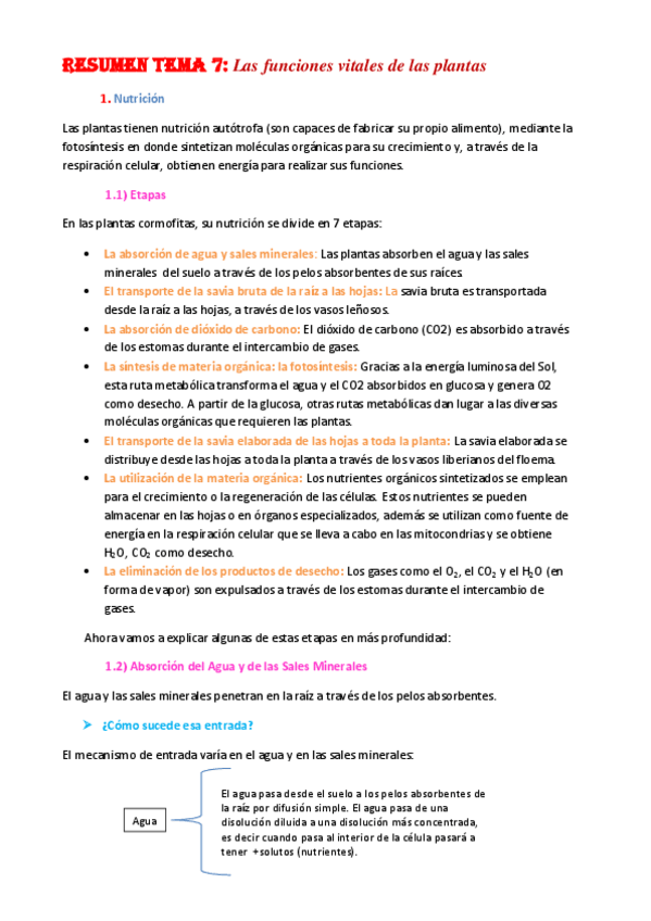 Miniatura del documento Funciones vitales de las plantas.pdf