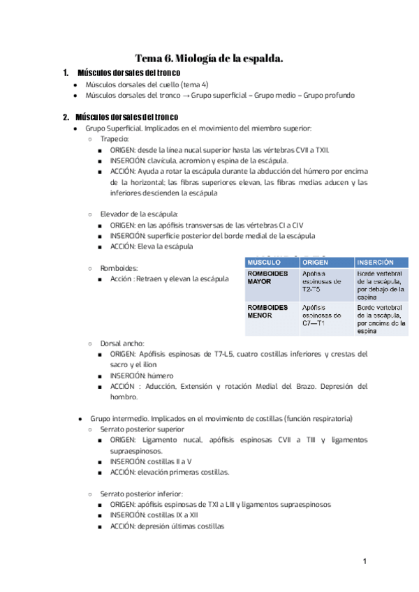 Miniatura del documento Tema-6.-Anatomia.pdf