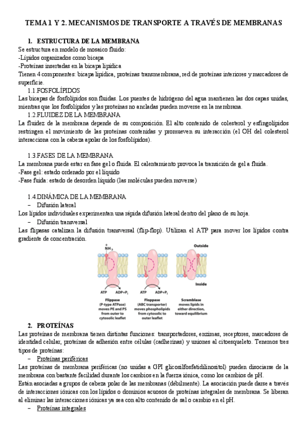 Miniatura del documento Tema-1-y-2.-Membrana.pdf