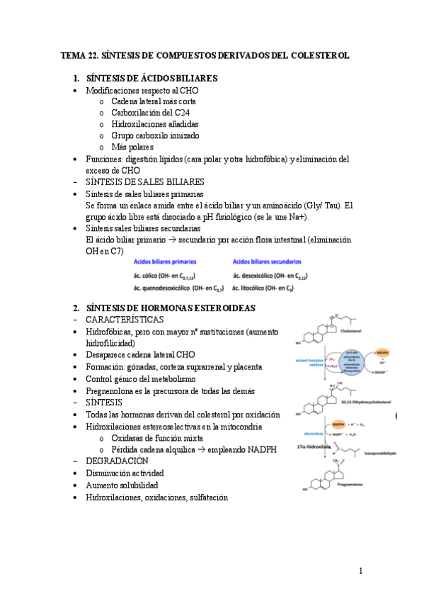 Miniatura del documento Tema-23.-Sintesis-de-compuestos-derivados-del-colesterol.pdf