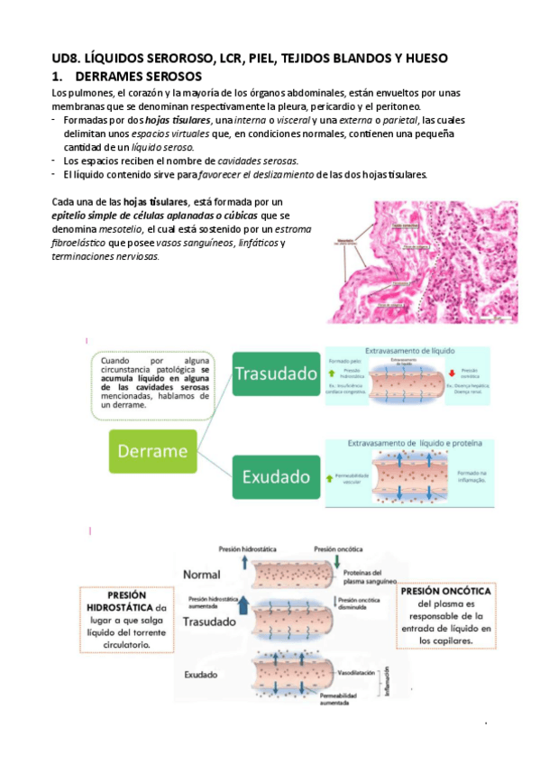 Miniatura del documento UD9-CITOLOGIA-GENERAL.pdf