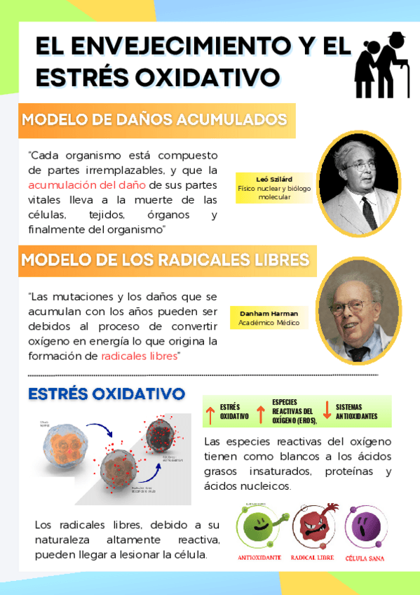Miniatura del documento Envejecimiento-m-radicales.pdf