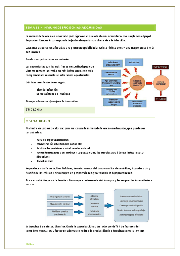 Miniatura del documento tema-11.pdf