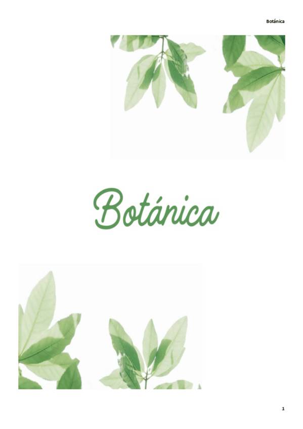 Miniatura del documento Apuntes-Botanica-formato-comprimido.pdf
