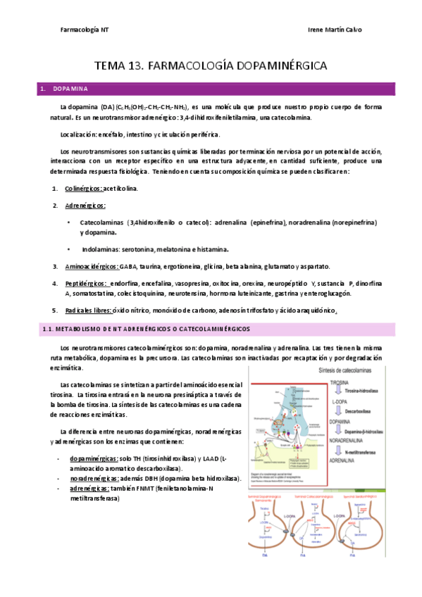 Miniatura del documento apuntes-laura-rumi-2023-24.pdf