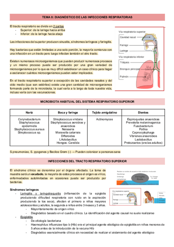 Miniatura del documento TEMA-8.pdf