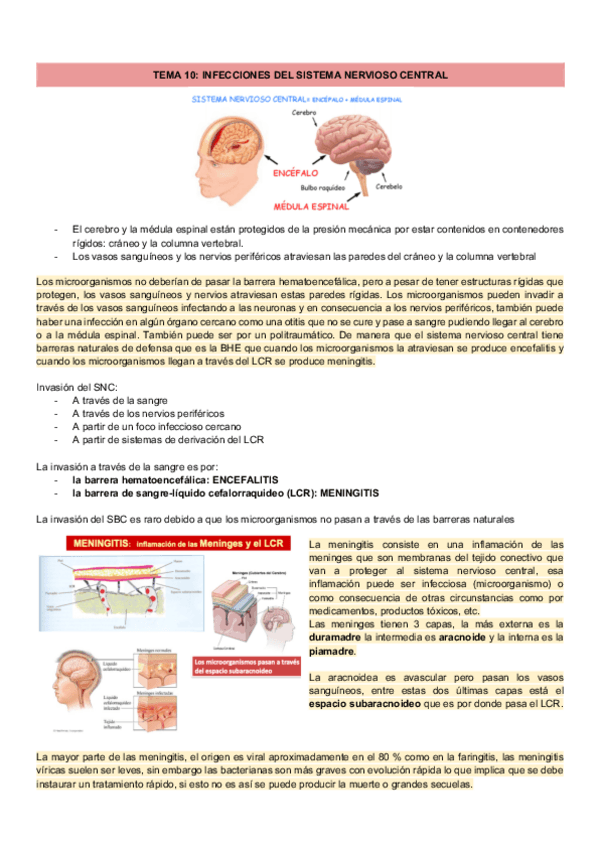 Miniatura del documento TEMA-10-SNC.pdf